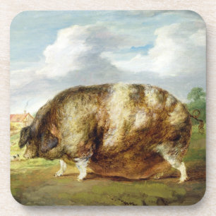 A Gloucestershire Old Spot (oil on panel) Coaster