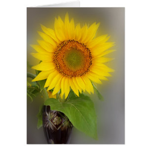 a glowing sunflower