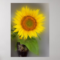 a glowing sunflower