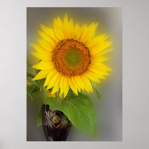 a glowing sunflower poster