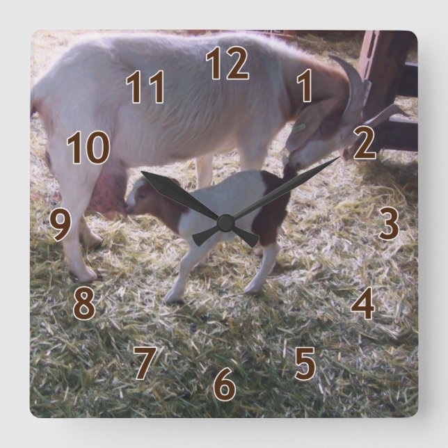 A Goat and Her Kid v2 Square Wall Clock (Front)