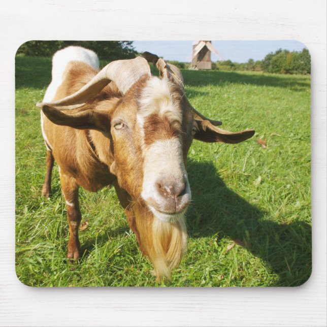 A goat - mousepad (Front)