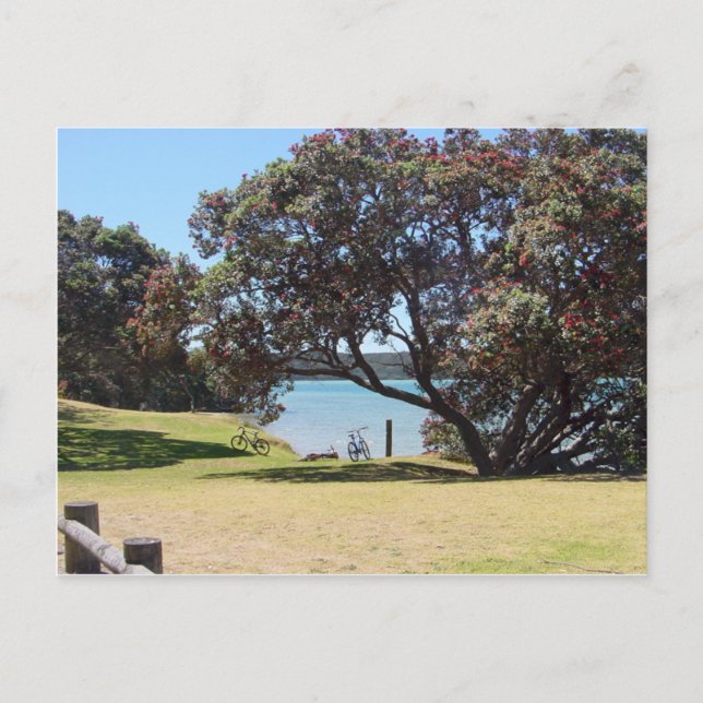 A God of Peace (1 Corinthians 14:33) Postcard (Front)
