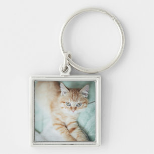 A Golden Colour Kitten Lying Down Key Ring