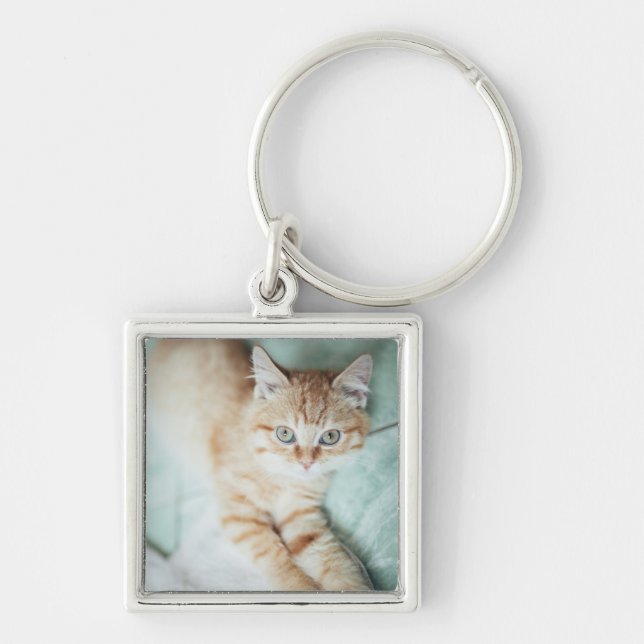 A Golden Colour Kitten Lying Down Key Ring (Front)