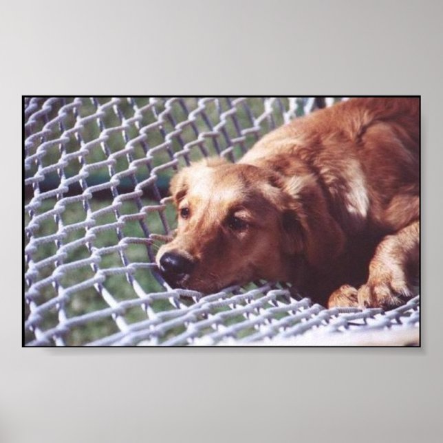 A Golden Day Poster (Front)