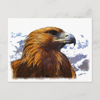 A Golden Eagle Postcard