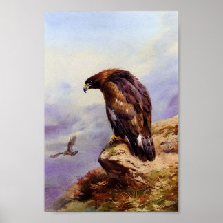 A Golden Eagle Poster