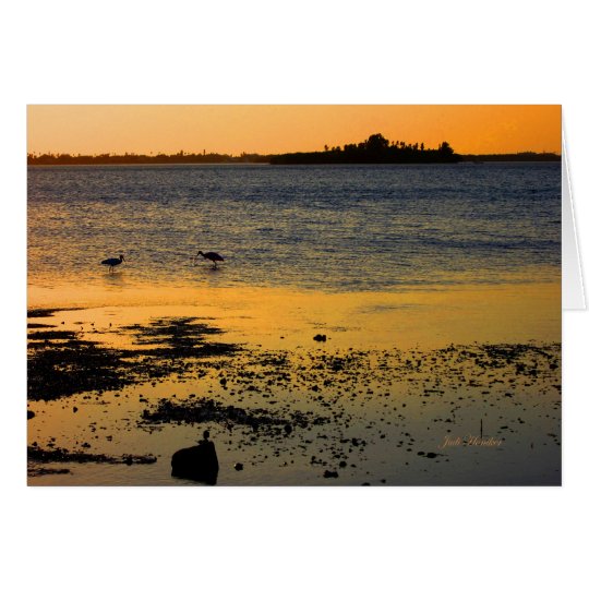 "A Golden Sunset" in Dunedin, Florida Card