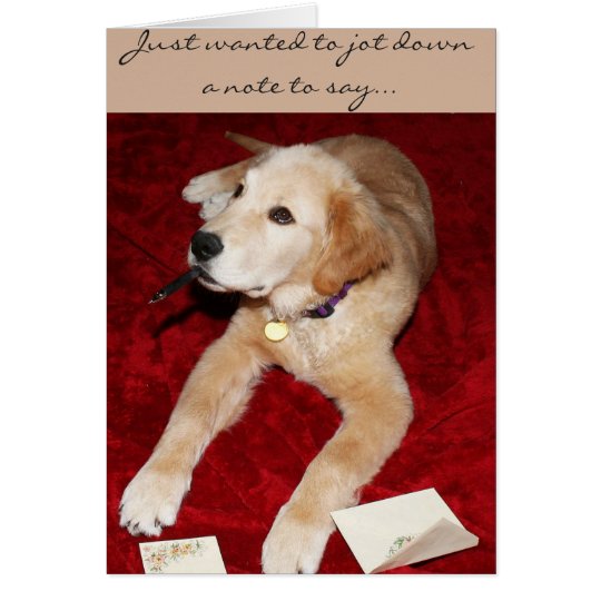 A Golden Writing A Note Saying Sorry Card