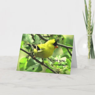 A Goldfinch for Grandma on Mother's Day Card