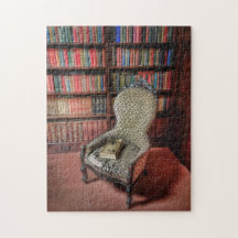A good book and a comfy chair
