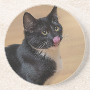 A Good Lick Painterly Coaster