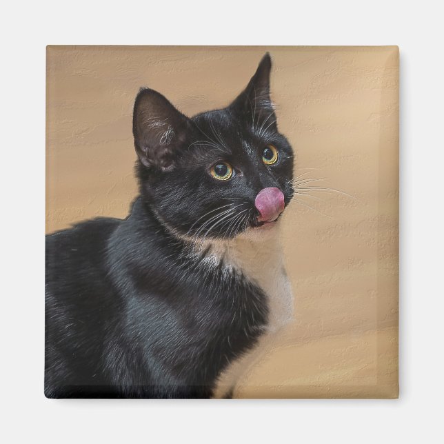 A Good Lick Painterly Magnet (Front)