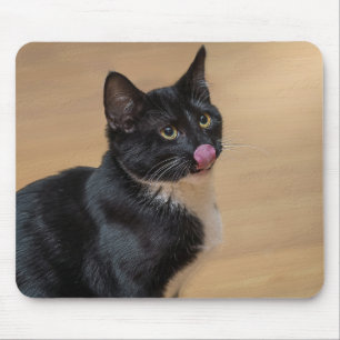 A Good Lick Painterly Mouse Pad