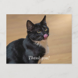 A Good Lick Painterly Postcard