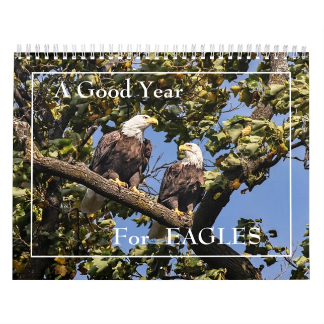 A Good Year For Eagles Calendar (Cover)