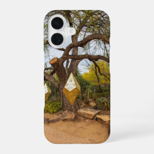 a gorgeous landscape at Desert Botanical Garden iPhone 16 Case