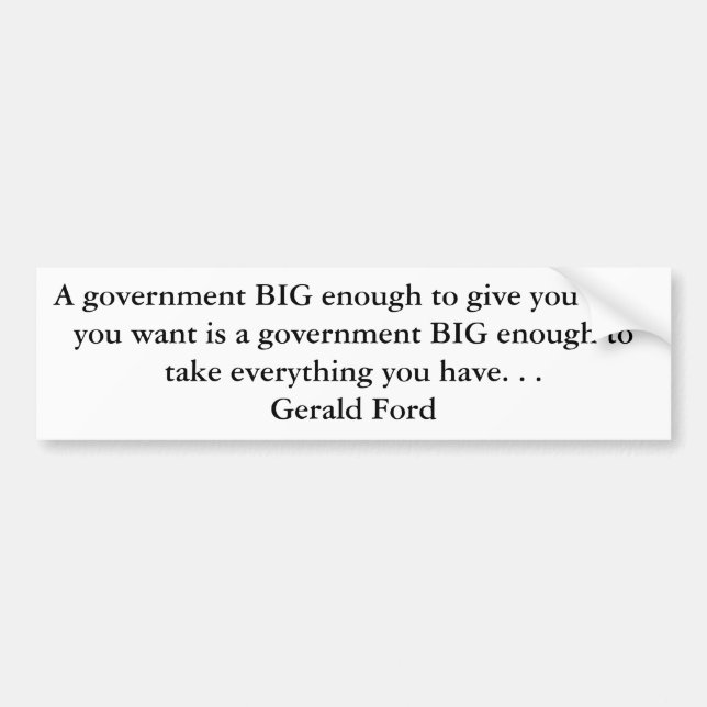 A government BIG enough to give you what you wa... Bumper Sticker (Front)