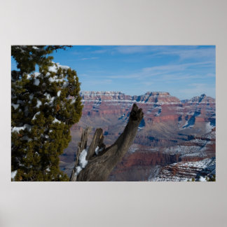 A Grand Canyon Throne 2938 Print