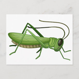 A grasshopper postcard