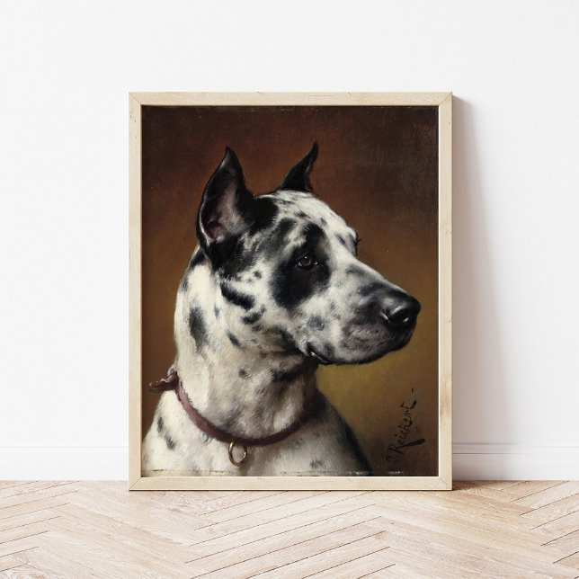 A Great Dane | Carl Reichert Poster (Creator Uploaded)