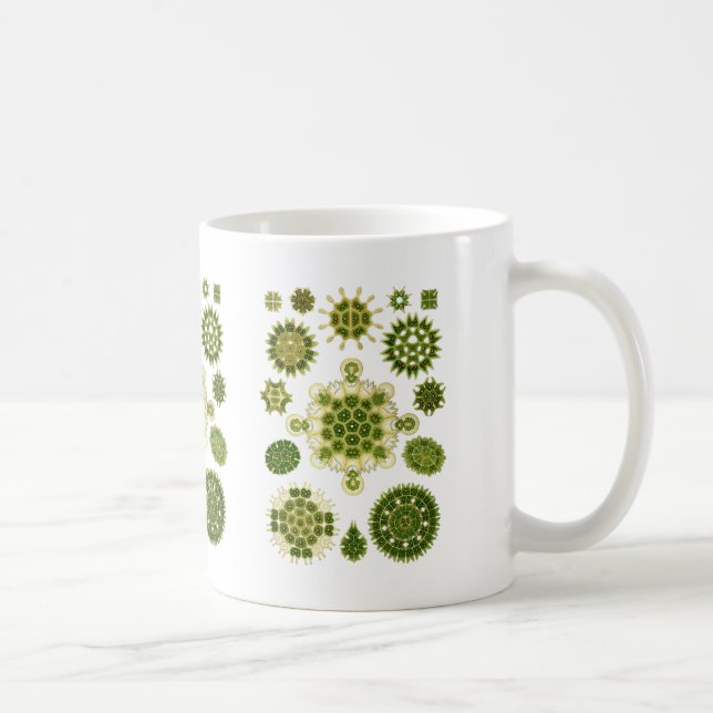 A Green Algae Coffee Mug (Right)