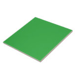 a green background with a white border ceramic tile<br><div class="desc">The image is a bright blue square with a uniform colour and a smooth texture. It stands out against the background with a striking visual contrast.</div>