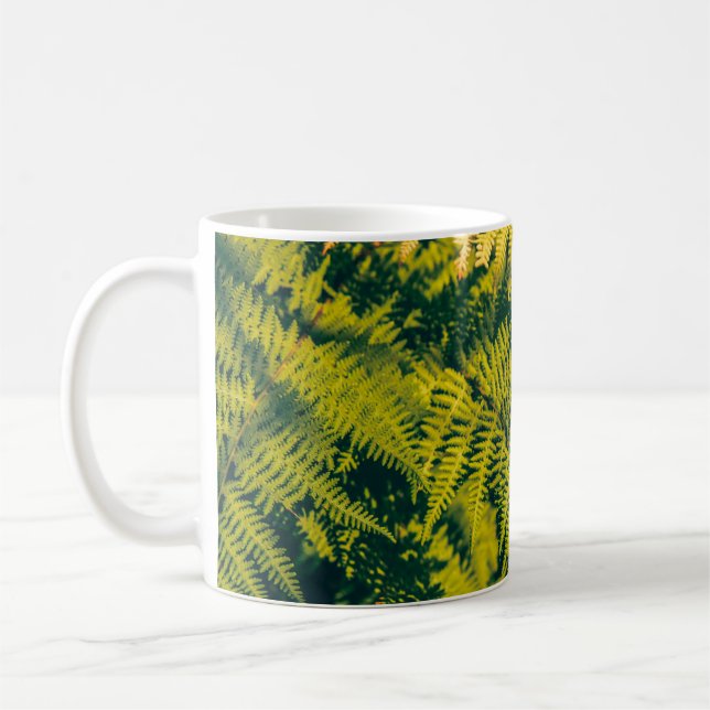 A green fern plants background with shadows. abstr coffee mug (Left)