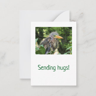 A green heron card