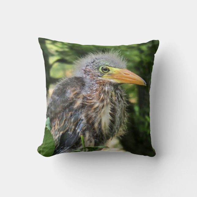 A green heron cushion (Front)
