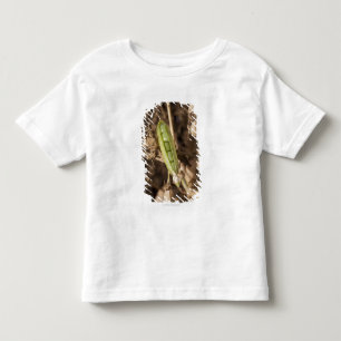 A Green Pea Pod On A Dried Pea Pod Plant Toddler T-Shirt