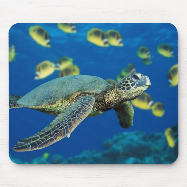 A green sea turtle swims past a school mouse pad (Front)