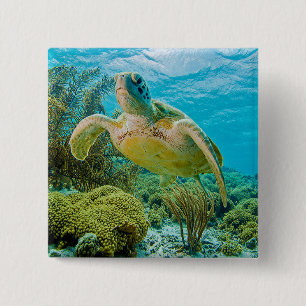 A Green Turtle On The Shallow Reefs Of Bonaire 15 Cm Square Badge