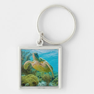 A Green Turtle On The Shallow Reefs Of Bonaire Key Ring