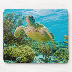 A Green Turtle On The Shallow Reefs Of Bonaire Mouse Pad
