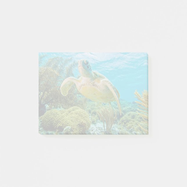 A Green Turtle On The Shallow Reefs Of Bonaire Post-it Notes (Front)