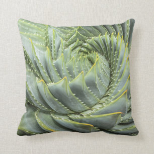 A Green & White Succulent Cushion