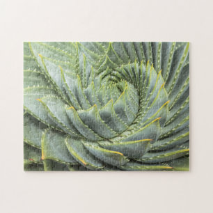 A Green & White Succulent Jigsaw Puzzle