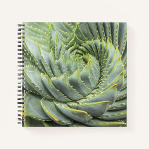 A Green & White Succulent Notebook