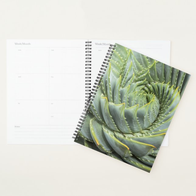 A Green & White Succulent Planner (Display)