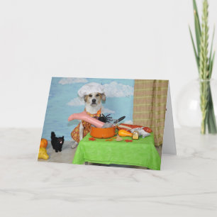 A greeting card /Thanksgiving? humourous dog photo