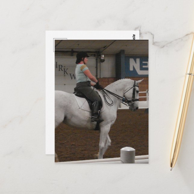 A Grey Dressage Horse Postcard (Front/Back In Situ)