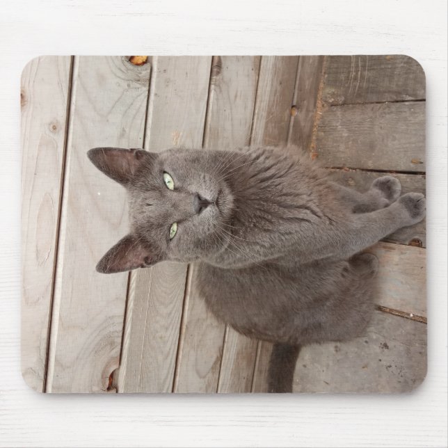 A Grey Noble Cat Mouse Pad (Front)