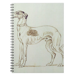 A Greyhound, Facing Left (pen & ink on paper) Notebook