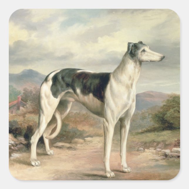A Greyhound in a hilly landscape Square Sticker (Front)