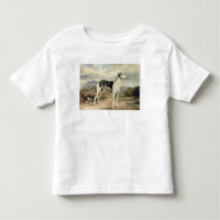 A Greyhound in a hilly landscape
