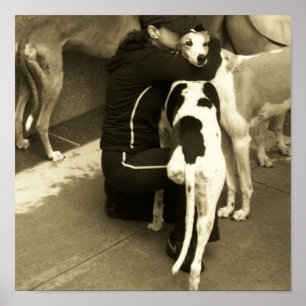 a greyhound with three legs poster