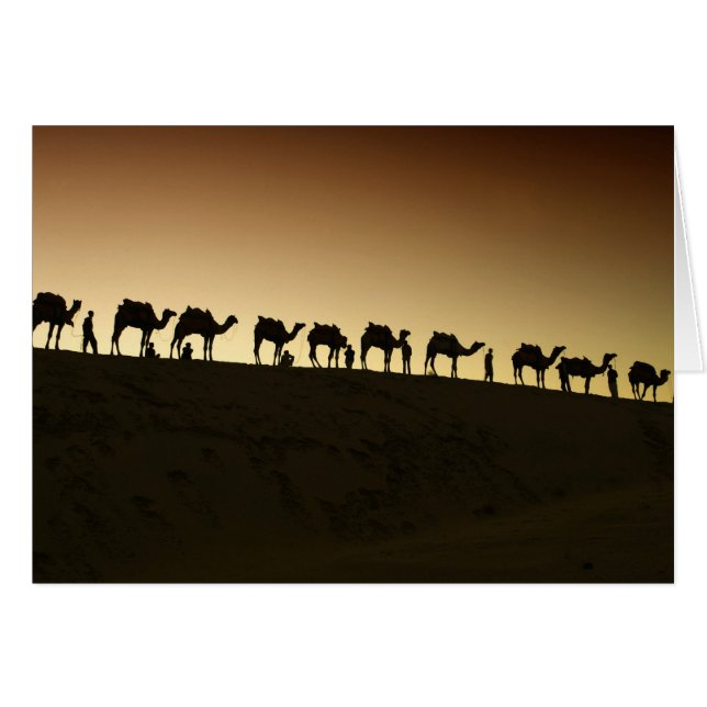 A group of camel herders with their camels (Front Horizontal)