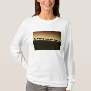A group of camel herders with their camels T-Shirt